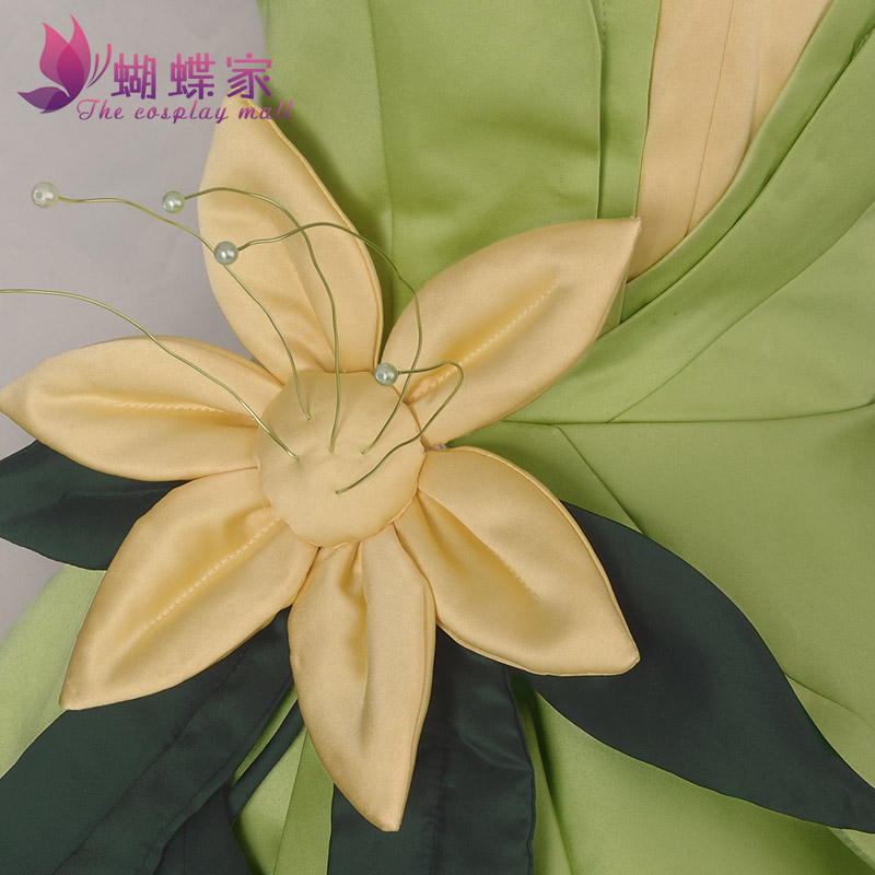 Princess Tiana Dress Cosplay C - Tech Hair Accessories 评论和价格
