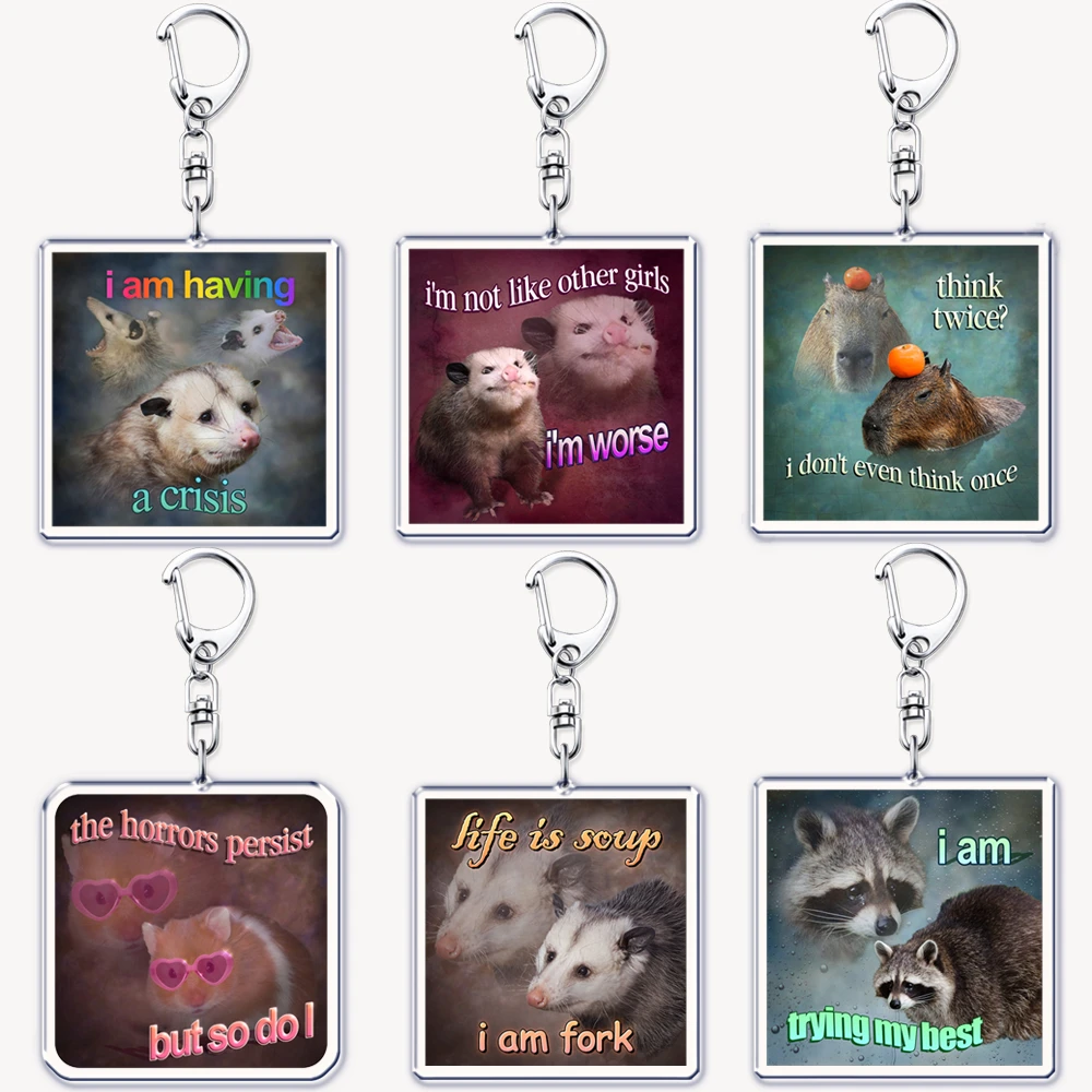 Funny Possum Hamster Raccoon C - Tech Accessories Bag 评论和价格