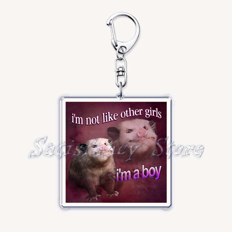 Funny Possum Hamster Raccoon C - Tech Accessories Bag 评论和价格